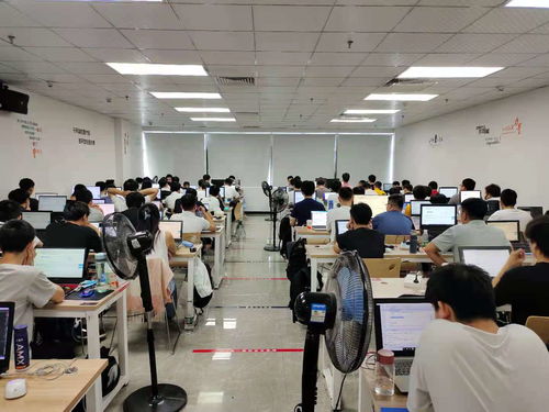 新起點，新夢想 在黑馬程序員技術社區揚帆起航